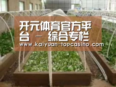 环境展示五