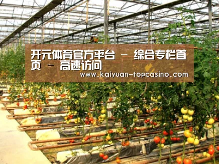 种植基地二