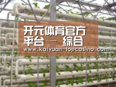 环境展示六